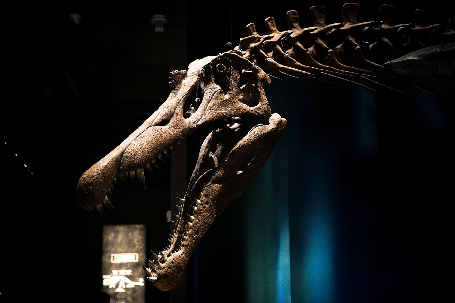 Misteri Terpecahkan: Meteorit Langka Penyebab Kepunahan Dinosaurus Terungkap!